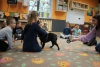 Pies w przedszkolu