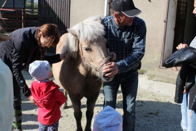 Wycieczka na farmę Dzika Orchidea